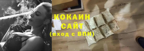 стаф Новодвинск